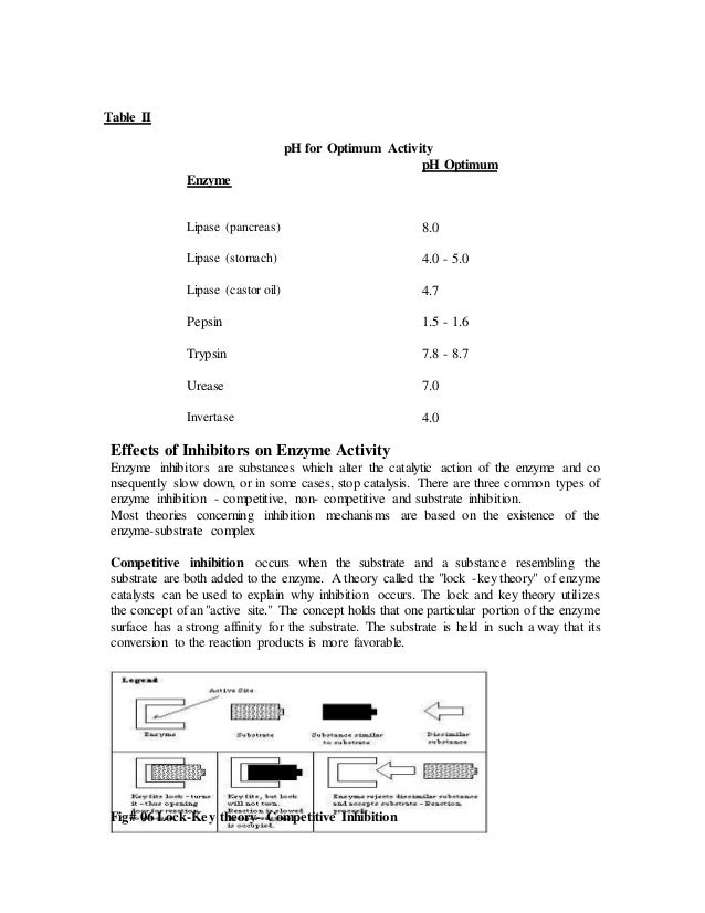 factors affecticg enzyme activity Enzymes are remarkable biocatalysts, capable of accelerating six types of biochemical reactions processing strategies that have historically focused on elimina. factors affecticg enzyme activity Enzymes are remarkable biocatalysts, capable of accelerating six types of biochemical reactions processing strategies that have historically focused on elimina.