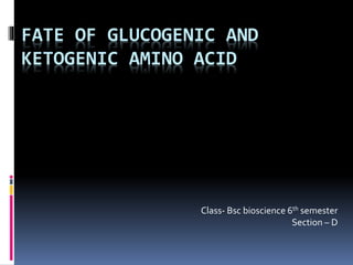 FATE OF GLUCOGENIC AND
KETOGENIC AMINO ACID
Class- Bsc bioscience 6th semester
Section – D
 