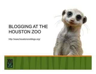 BLOGGING AT THE
HOUSTON ZOO
http://www.houstonzooblogs.org/
 