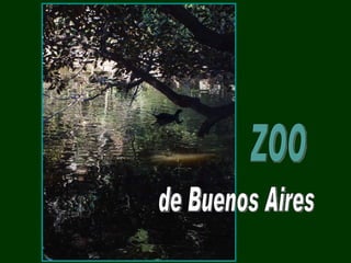 ZOO de Buenos Aires 