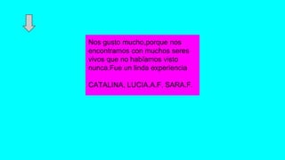 Nos gusto mucho,porque nos 
encontramos con muchos seres 
vivos que no habíamos visto 
nunca.Fue un linda experiencia 
CATALINA, LUCIA.A.F, SARA.F. 
 