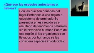 ¿Qué son las especies autóctonas o 
nativas? 
Son las que son oriundas del 
lugar.Pertenece a una region o 
ecosistema determinado.Su 
presencia en esa región es el 
resultado de fenómenos naturales 
sin intervención humana.Fuera de 
esa región si los organismos son 
llevados por humanos se las 
considera especies introducidas. 
 