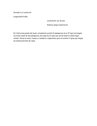 Carnada:1 a 6 cachorros

Longevidad:16 años

                                              Localización: sur de asia

                                              Estatus: peligro deextincion




Es l felino mas grande del mudo, actualmente existen 5 subespecies de el. El tigre de bengala
es la mas común de las subespecies, las rayas de un tigre que van de estes el cafeel negro
intenso. Varian en ancho, numero y tendencia a separlarse, pero no existen 2 tigres que tengan
los mismos patrones de rayas.
 