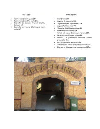 REPTILES:
                            “FELINOS”                   MAMIFEROS:

Iguana verde (Iguana iguana) Br.           Coatí (Nasua) BR.
Iguana negra (rocodylus acutus) VU.        Mapache (Procyon lotor) BR.
Serpiente de cascabel tropical (Crotalus   Jaguarundi (Puma Yagouarandi) CEA.
durissus) AM.
                                           Jaguar (Panthera onca) VU.
Serpiente chirrionera (Masticophis mento
                                           Tlacuache (Didelphys Virginiana) BR.
varius) VA.
                                           Martucha (Potos flavus) CEA.
                                           Venado cola blanca (Odocoileus virginianus) BR.
                                           Pecari de collar (Tayassu tajaco) BR.
                                           Coenclú     o   puercoespín    arbolicola   (Condou
                                           prehersilis) CEA.
                                           Zorrillo (Conepatus leucandus) CEA.
                                           Armadillo de 9 bandas (Dasypus novemcinctus) CA.
                                           Zorro gris (Urucyan cinereoargenteus) CEA.
 