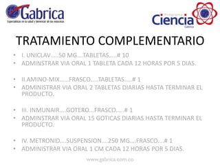 TRATAMIENTO COMPLEMENTARIO
• I. UNICLAV…..50 MG….TABLETAS…..# 10
• ADMINSTRAR VIA ORAL 1 TABLETA CADA 12 HORAS POR 5 DIAS.
• II.AMINO-MIX……FRASCO…..TABLETAS…..# 1
• ADMINISTRAR VIA ORAL 2 TABLETAS DIARIAS HASTA TERMINAR EL
PRODUCTO.
• III. INMUNAIR....GOTERO...FRASCO.....# 1
• ADMINSTRAR VIA ORAL 15 GOTICAS DIARIAS HASTA TERMINAR EL
PRODUCTO.
• IV. METRONID….SUSPENSION….250 MG….FRASCO….# 1
• ADMINISTRAR VIA ORAL 1 CM CADA 12 HORAS POR 5 DIAS.
 