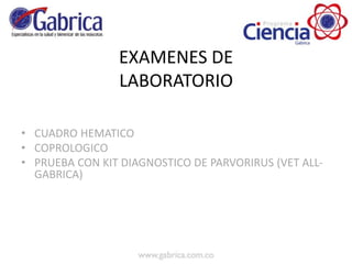 EXAMENES DE
LABORATORIO
• CUADRO HEMATICO
• COPROLOGICO
• PRUEBA CON KIT DIAGNOSTICO DE PARVORIRUS (VET ALL-
GABRICA)
 