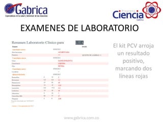 EXAMENES DE LABORATORIO
El kit PCV arroja
un resultado
positivo,
marcando dos
líneas rojas
 