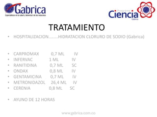 TRATAMIENTO
• HOSPITALIZACION........HIDRATACION CLORURO DE SODIO (Gabrica)
• CARPROMAX 0,7 ML IV
• INFERVAC 1 ML IV
• RANITIDINA 0,7 ML SC
• ONDAX 0,8 ML IV
• GENTAMICINA 0,7 ML IV
• METRONIDAZOL 26,4 ML IV
• CERENIA 0,8 ML SC
• AYUNO DE 12 HORAS
 