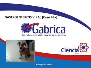 GASTROENTERITIS VIRAL (Caso Lita)
 