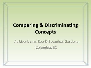 Comparing & Discriminating Concepts At Riverbanks Zoo & Botanical Gardens Columbia, SC 