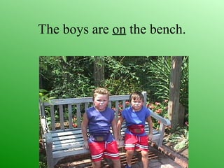 The boys are on the bench.