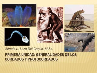 PRIMERA UNIDAD: GENERALIDADES DE LOS
CORDADOS Y PROTOCORDADOS
Alfredo L. Loza Del Carpio, M.Sc.
 