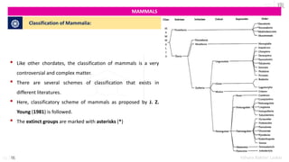 Curated visual reference: Introduction To Mammals Their Classification And Echolocation In Bats Photo Inspiration