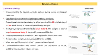 Working of Immune System, Antigen Presentation, and the Complement ...