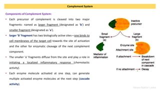 Yahyea Baktiar Laskar
Complement System
Components of Complement System:
• Each precursor of complement is cleaved into tw...