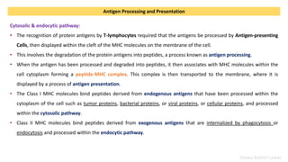 Yahyea Baktiar Laskar
Antigen Processing and Presentation
Cytosolic & endocytic pathway:
• The recognition of protein anti...