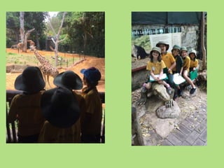 Zoo excursion