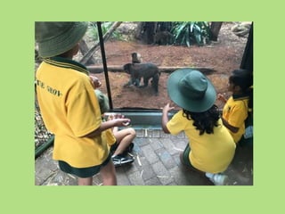 Zoo excursion