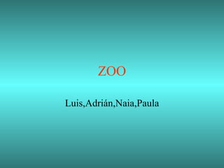 ZOO Luis,Adrián,Naia,Paula 