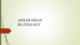 ARBAB IHSAN
BS.ZOOLOGY
 