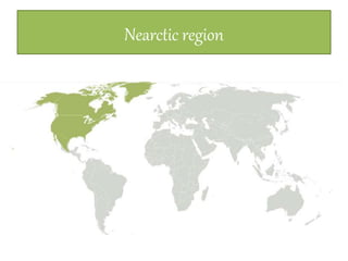 Zoogeography and factors affecting animal distribution