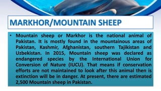 ENDANGERED AND EXTINCT SPECIES IN PAKISTAN | PPTX