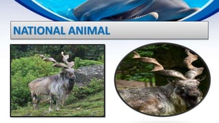 ENDANGERED AND EXTINCT SPECIES IN PAKISTAN | PPTX