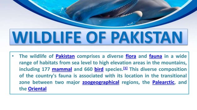 ENDANGERED AND EXTINCT SPECIES IN PAKISTAN | PPTX