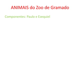 Zoo gramado