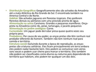 Distribuição Geográfica: Geograficamente eles são achados da Amazônia até a mata Atlântica do Rio Grande do Sul. É encontrada também na America Central e do Norte. Habitat:São achados jaguares em florestas tropicais. Eles preferem florestas densas ou pântanos com uma provisão pronta de água. Alimentação na selva: Carnívoro. Grandes e pequenos mamíferos. Onça-preta na Amazônia come rãs, peixe, tartarugas, e jacarés pequenos Alimentação no jardim zoológico: Carne. Curiosidade:Um jaguar pode derrubar presa quase quatro vezes seu próprio peso.Predadores:Por causa de seu poder, as onças pretas não têm nenhum real predador diferente do homem. Também não tem nenhum rival para comida e território. Estrutura social: Excluindo durante a época de reprodução, as onças-pretas são criaturas solitárias. Eles ficam principalmente em terra embora eles podem nadar bastante bem. Eles podem se comunicar com vários sons vocais e podem usar cheiro para marcar o território. Eles também não podem ser classificados como diurno ou noturno pois dependendo do território que habitam, eles podem ter qualquer um dos dois.