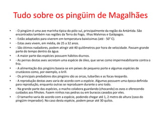 Tudo sobre os pingüim de Magalhães- O pingüim é uma ave marinha típica do pólo sul, principalmente da região da Antártida. São encontrados também nas regiões da Terra do Fogo,  Ilhas Malvinas e Galápagos. - Estão adaptados para viverem em temperatura baixíssimas (até - 50° C). - Estas aves vivem, em média, de 25 a 32 anos. - São ótimos nadadores, podem atingir até 40 quilômetros por hora de velocidade. Passam grande parte do tempo dentro da água. - A maior parte das espécies possuem hábitos diurnos. - As pernas destas aves secretam uma espécie de óleo, que serve como impermeabilizante contra o frio. - A alimentação dos pingüins baseia-se em peixes de pequeno porte e algumas espécies de crustáceos como, por exemplo, o krill. - Os principais predadores dos pingüins são as orcas, tubarões e as focas-leopardo. - A reprodução destas aves varia de acordo com a espécie. Algumas possuem uma época definida para reprodução, enquanto outras se reproduzem durante o ano todo.  - Na grande parte das espécies, o macho colabora guardando (chocando) os ovos e oferecendo cuidados aos filhotes. Fazem ninhos nas pedras ou em buracos cavados por eles. - O tamanho varia de acordo com a espécie, podendo chegar até 1, 2 metro de altura (caso do pingüim-imperador). No caso desta espécie, podem pesar até 30 quilos. 