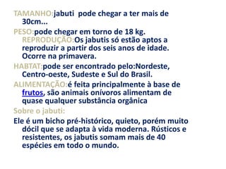TAMANHO:jabuti  pode chegar a ter mais de 30cm... PESO:pode chegar em torno de 18 kg. REPRODUÇÃO:Os jabutis só estão aptos a reproduzir a partir dos seis anos de idade. Ocorre na primavera.HABTAT:pode ser encontrado pelo:Nordeste, Centro-oeste, Sudeste e Sul do Brasil.ALIMENTAÇÃO:é feita principalmente à base de frutos, são animais onívoros alimentam de quase qualquer substância orgânicaSobre o jabuti:Ele é um bicho pré-histórico, quieto, porém muito dócil que se adapta à vida moderna. Rústicos e resistentes, os jabutis somam mais de 40 espécies em todo o mundo.