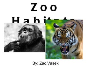 Zoo Habitats By: Zac Vasek 