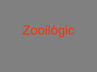 Zooilògic 