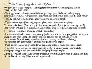 2.    Ordo Diptera (bangsa lalat, nyamuk)Contoh :
 Anggota serangga meliputi : serangga pemakan tumbuhan, pengisap darah,
predator dan parasitoid
 Serangga dewasa hanya memiliki satu pasang sayap di depan, sedang sayap
belakang mereduksi menjadi alat keseimbangan berbentuk gada dan disebut halter.
Pada kepalanya juga dijumpai adanya antene dan mata facet.
 Tipe mulutnya penjilat-pengisap, pengisap, atau pencucuk pengisap.
Contoh : lalat buah (Dacus spp.), lalat predator pada Aphis (Asarcina aegrota F),
lalat rumah (Musca domesticaLinn.), dan lalat parasitoid (Diatraeophaga striatalis)
3.    Ordo Hemiptera (bangsa kepik) / kepinding
 Umumnya memiliki sayap dua pasang (beberapa spesies ada yang tidak bersayap).
Sayap depan menebal pada bagian pangkal (basal) dan pada bagian ujung
membranus. Bentuk sayap tersebut disebut Hemelytra. Sayap belakang
membranus dan sedikit lebih pendek daripada sayap depan.
 Pada bagian kepala dijumpai adanya sepasang antene, mata facet dan occeli.
 Tipe alat mulut pencucuk pengisap yang terdiri atas moncong (rostum) dan
dilengkapi dengan alat pencucuk dan pengisap berupa stylet.
Contoh : Walang sangit (Leptorixa oratorius Thumb.), Kepik hijau (Nezara viridula
L), dan Bapak pucung (Dysdercus cingulatus F)
 