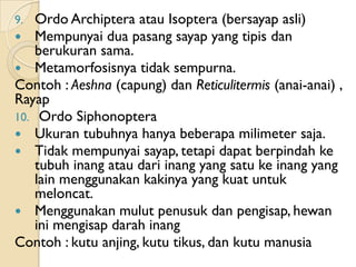 9.  Ordo Archiptera atau Isoptera (bersayap asli)
   Mempunyai dua pasang sayap yang tipis dan
    berukuran sama.
 Metamorfosisnya tidak sempurna.
Contoh : Aeshna (capung) dan Reticulitermis (anai-anai) ,
Rayap
10. Ordo Siphonoptera
 Ukuran tubuhnya hanya beberapa milimeter saja.
 Tidak mempunyai sayap, tetapi dapat berpindah ke
    tubuh inang atau dari inang yang satu ke inang yang
    lain menggunakan kakinya yang kuat untuk
    meloncat.
 Menggunakan mulut penusuk dan pengisap, hewan
    ini mengisap darah inang
Contoh : kutu anjing, kutu tikus, dan kutu manusia
 