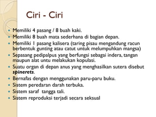 Ciri - Ciri
   Memiliki 4 pasang / 8 buah kaki.
   Memiliki 8 buah mata sederhana di bagian depan.
   Memiliki 1 pasang kalisera (taring pisau mengandung racun
    berbentuk gunting atau catut untuk melumpuhkan mangsa)
   Sepasang pedipalpus yang berfungsi sebagai indera, tangan
    maupun alat untu melakukan kopulasi.
   Suatu organ di depan anus yang menghasilkan sutera disebut
    spinerets.
   Bernafas dengan menggunakan paru-paru buku.
   Sistem peredaran darah terbuka.
   Sistem saraf tangga tali.
   Sistem reproduksi terjadi secara seksual
 