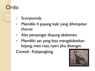 Ordo
   1.Scorpionida
    Memiliki 4 pasang kaki yang dihimpitan
     thorax
    Alat penyengat diujung abdomen.
    Memiliki zat yang bisa mengakibatkan
     kejang, mati rasa, nyeri jika disengat.
   Contoh : Kalajengking
 