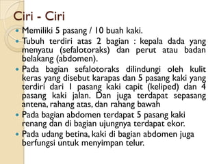 Ciri - Ciri
   Memiliki 5 pasang / 10 buah kaki.
   Tubuh terdiri atas 2 bagian : kepala dada yang
    menyatu (sefalotoraks) dan perut atau badan
    belakang (abdomen).
   Pada bagian sefalotoraks dilindungi oleh kulit
    keras yang disebut karapas dan 5 pasang kaki yang
    terdiri dari 1 pasang kaki capit (keliped) dan 4
    pasang kaki jalan. Dan juga terdapat sepasang
    antena, rahang atas, dan rahang bawah
   Pada bagian abdomen terdapat 5 pasang kaki
    renang dan di bagian ujungnya terdapat ekor.
   Pada udang betina, kaki di bagian abdomen juga
    berfungsi untuk menyimpan telur.
 