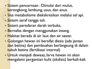  Sistem pencernaan : Dimulai dari mulut,
  kerongkong, lambung, usus, dan anus.
 Sisa metabolisme diekskresikan melalui sel api.
 Sistem saraf tangga tali.
 Sistem peredaran darah terbuka.
 Bernafas dengan menggunakan insang.
 Habitat berada di air laut dan air tawar.
 Golongan hewan ini bersifat diesis (ada jantan
  dan betina) dan pembuahan berlangsung di dalam
  tubuh betina (fertilisasi internal)
 Untuk menjadi dewasa, larva hewan ini akan
  mengalami pergantian kulit (ekdisis) berkali-kali.
 