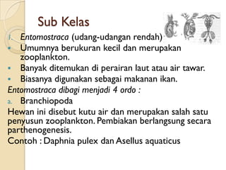 Sub Kelas
1. Entomostraca (udang-udangan rendah)
  Umumnya berukuran kecil dan merupakan
   zooplankton.
 Banyak ditemukan di perairan laut atau air tawar.
 Biasanya digunakan sebagai makanan ikan.
Entomostraca dibagi menjadi 4 ordo :
a. Branchiopoda
Hewan ini disebut kutu air dan merupakan salah satu
penyusun zooplankton. Pembiakan berlangsung secara
parthenogenesis.
Contoh : Daphnia pulex dan Asellus aquaticus
 