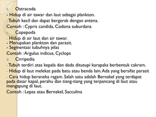 b.   Ostracoda
- Hidup di air tawar dan laut sebagai plankton.
- Tubuh kecil dan dapat bergerak dengan antena.
Contoh : Cypris candida, Codona suburdana
c.   Copepoda
- Hidup di air laut dan air tawar.
- Merupakan plankton dan parasit.
- Segmentasi tubuhnya jelas
Contoh : Argulus indicus, Cyclops
d.   Cirripedia
- Tubuh terdiri atas kepala dan dada ditutupi karapaks berbentuk cakram.
- Hidup di laut melekat pada batu atau benda lain. Ada yang bersifat parasit
- Cara hidup beraneka ragam. Salah satu adalah Bernakel yang terdapat
pada dasar kapal, perahu dan tiang-tiang yang terpancang di laut atau
mengapung di laut.
Contoh : Lepas atau Bernakel, Sacculina
 
