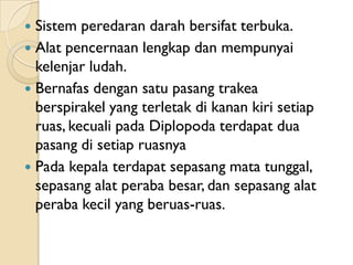  Sistem peredaran darah bersifat terbuka.
 Alat pencernaan lengkap dan mempunyai
  kelenjar ludah.
 Bernafas dengan satu pasang trakea
  berspirakel yang terletak di kanan kiri setiap
  ruas, kecuali pada Diplopoda terdapat dua
  pasang di setiap ruasnya
 Pada kepala terdapat sepasang mata tunggal,
  sepasang alat peraba besar, dan sepasang alat
  peraba kecil yang beruas-ruas.
 