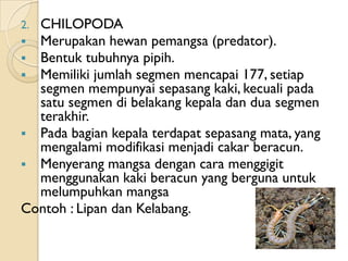 2.CHILOPODA
 Merupakan hewan pemangsa (predator).
 Bentuk tubuhnya pipih.
 Memiliki jumlah segmen mencapai 177, setiap
...
