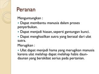 Peranan
Menguntungkan :
 Dapat membantu manusia dalam proses
penyerbukan.
 Dapat menjadi hiasan, seperti gantungan kunci.
 Dapat menghasilkan sutra yang berasal dari ulat
sutra.
Merugikan :
 Ulat dapat menjadi hama yang merugikan manusia
karena ulat melahap dapat melahap habis daun-
daunan yang berakibat serius pada pertanian.
 