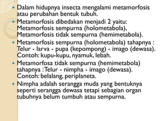    Dalam hidupnya insecta mengalami metamorfosis
    atau perubahan bentuk tubuh.
   Metamorfosis dibedakan menjadi 2 ya...