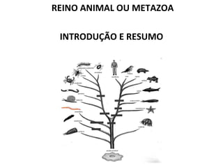 REINO ANIMAL OU METAZOA

 INTRODUÇÃO E RESUMO
 