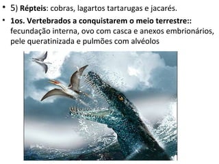 • 5) Répteis: cobras, lagartos tartarugas e jacarés.
• 1os. Vertebrados a conquistarem o meio terrestre::
  fecundação interna, ovo com casca e anexos embrionários,
  pele queratinizada e pulmões com alvéolos
 