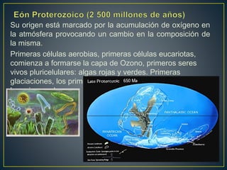Su origen está marcado por la acumulación de oxígeno en
la atmósfera provocando un cambio en la composición de
la misma.
Primeras células aerobias, primeras células eucariotas,
comienza a formarse la capa de Ozono, primeros seres
vivos pluricelulares: algas rojas y verdes. Primeras
glaciaciones, los primeros metazoos: fauna de Ediacara y
los primeros hongos.
 