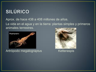 Aprox. de hace 438 a 408 millones de años.
La vida en el agua y en la tierra: plantas simples y primeros
animales terrestres.
Artrópodo megalograptus Ketteraspis
 